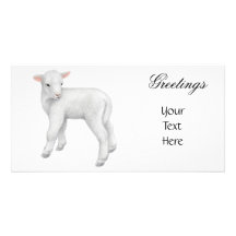 Little Lamb Photo Card