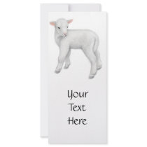 Little Lamb Rack Card