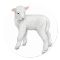 Little Lamb Sticker