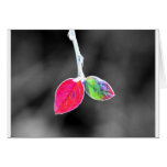 little leaves card