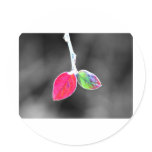 little leaves stickers