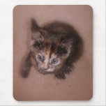 Little Patsy 2 Mouse Mat