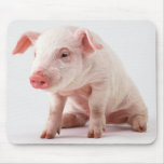 Little Pig mousepads