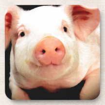 Little Piggy Beverage Coasters