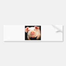 Little Piggy Bumper Sticker