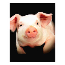 Little Piggy Customized Letterhead