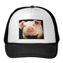 Little Piggy Hat