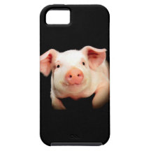 Little Piggy iPhone 5 Cases