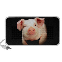 Little Piggy iPhone Speaker