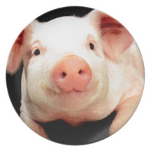 Little Piggy Plate