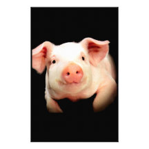 Little Piggy Stationery Paper
