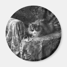 Little Princes Fridge Magnet