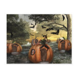 Little Pumpkin Land (Postcard)