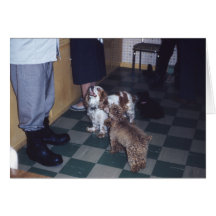 Little Puppies Greeting Card
