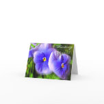 Little Purple Pansies Note Card; Frosted Pansies
