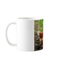 Little Red Chicken  - Free Range Egg Layer Mugs