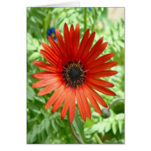 Little Red Devil Greeting Card