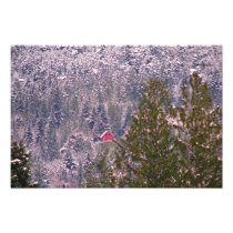 Little Red House on a Snowy Mountain Photo Print