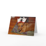 Little Reindeer  Card