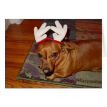 Little Reindeer  Card