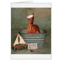 Little sailor greeting cards