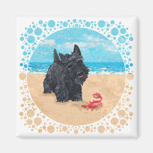 Little Scottie Finds a Crab at the Beach Fridge Magnets