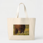 Little Sharni Shetland Pony Tote Bags