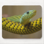 Little Snaked Mousepads