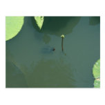 Little Sprouts Postcard