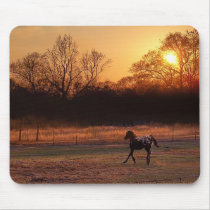 Little Stallion At Sunset Mouse Pad