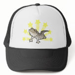 Little Star Bearded Dragon / Rankins Dragon