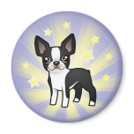 Little Star Boston Terrier