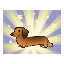 Little Star Dachshund (longhair) Post Card