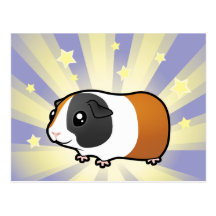 Little Star Guinea Pig (smooth hair) Postcards