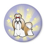 Little Star Shih Tzu (show cut)