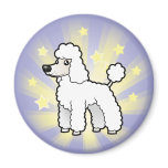 Little Star Standard/Miniature/Toy Poodle pup cut