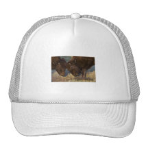 Little Teacher Trucker Hats