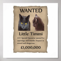 Little Timmi wanted poster