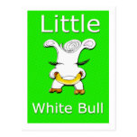 little white bull post card