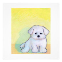 Little white dog art drawing cute Maltese puppy Invite