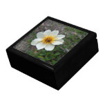 Little White Flower; No Text Trinket Boxes