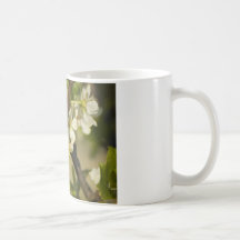 Little white flowers on a branch with green leafs coffee mugs