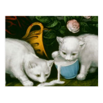 little white kitties getting into mischief milk postcards