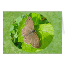 Little Wood Satyr Butterfly Coordinating Items Greeting Card