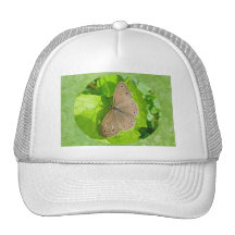 Little Wood Satyr Butterfly Coordinating Items Mesh Hat