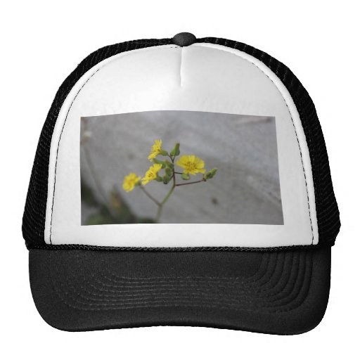 Little Yellow Flower #3 Mesh Hats