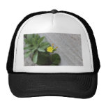 Little Yellow Flower Mesh Hat