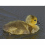 Little Yellow Goose On River photo sculptures
