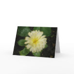 Little Yellow Marigold Greeting Card