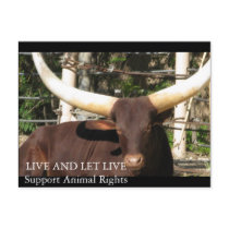 LIVE AND LET LIVE SUPPORT ANIMAL RIGHTS POST CARD
